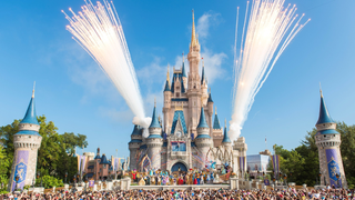 The Urban Legend About Scattering Human Ashes at Disney Is True, and It's Worse Than We Thought